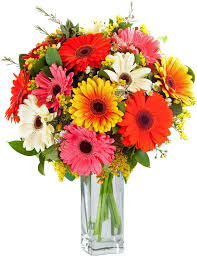 Gerbera Gem Bouquet