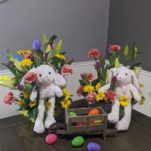 PXL_20210401_203533558.NIGHT-1-1