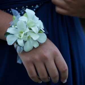 Phalaenopsis Orchid Wrist Corsage