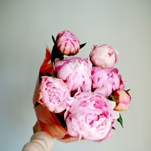 Perfect Peony