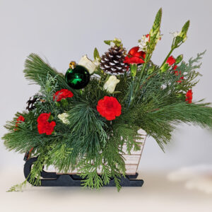 Enchanted Christmas Sleigh